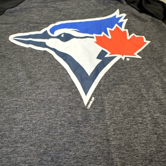 Toronto Blue Jays pullover hoodie long sleeve grey black MLB baseball team large - Picture 3 of 7
